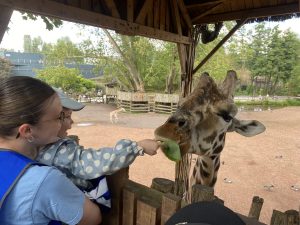 Loisirs Pluriel Tourcoing